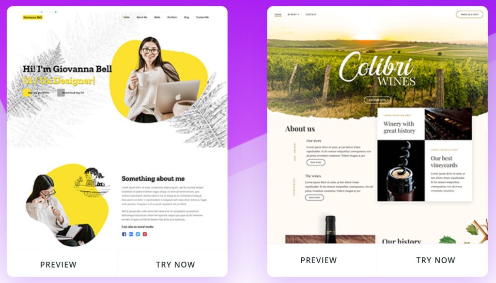 Colibri WP Sample Designs