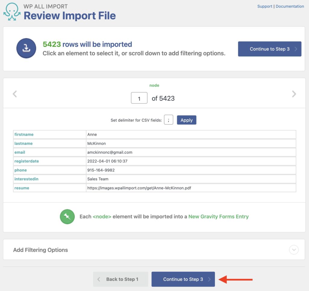 Import Gravity Forms Entries Review Import File