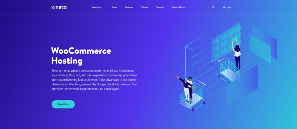 Kinsta WooCommerce Host