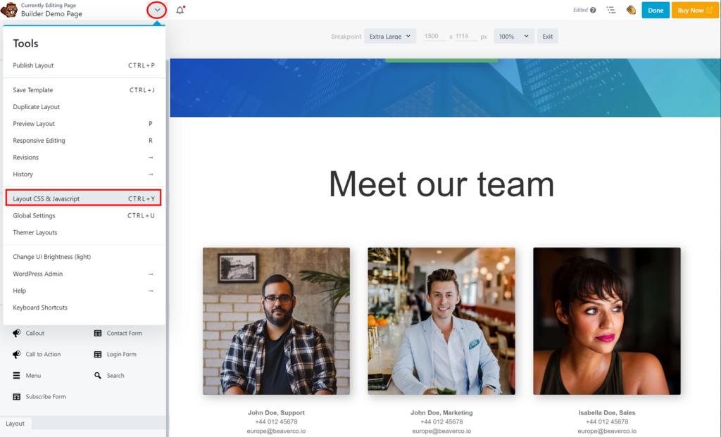 Beaver Builder Review — CSS and Javascript