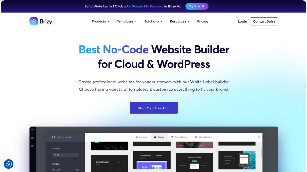 Brizy Homepage