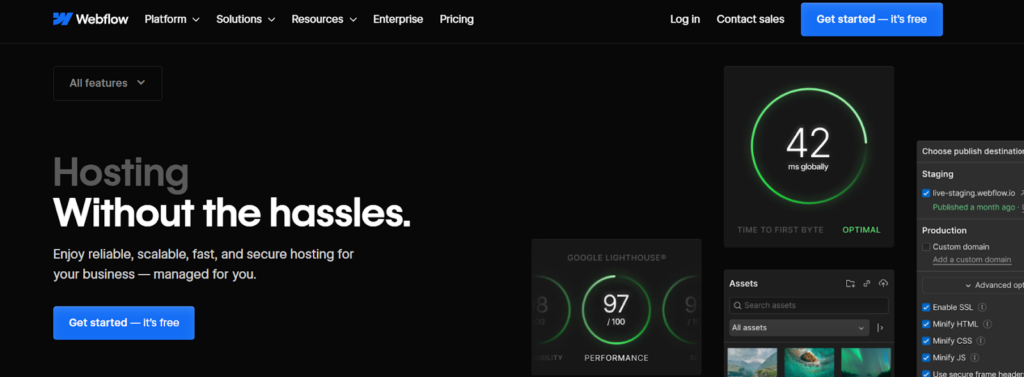 Webflow hosting